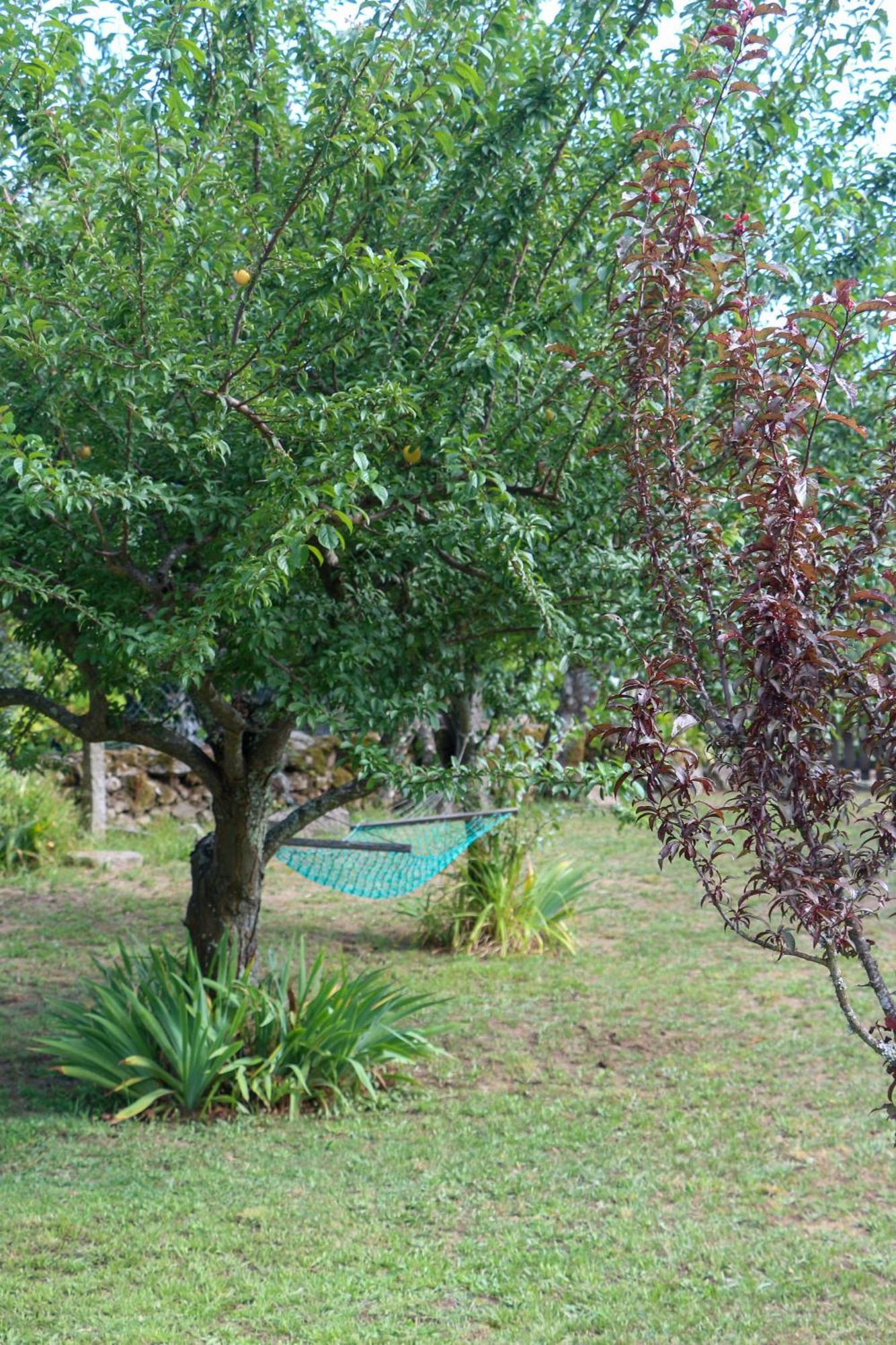Casa Campo Das Bizarras Castro Daire Esterno foto